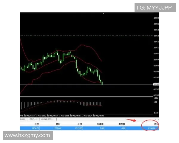 雷恩与里昂精彩对决视频直播全程回顾与分析
