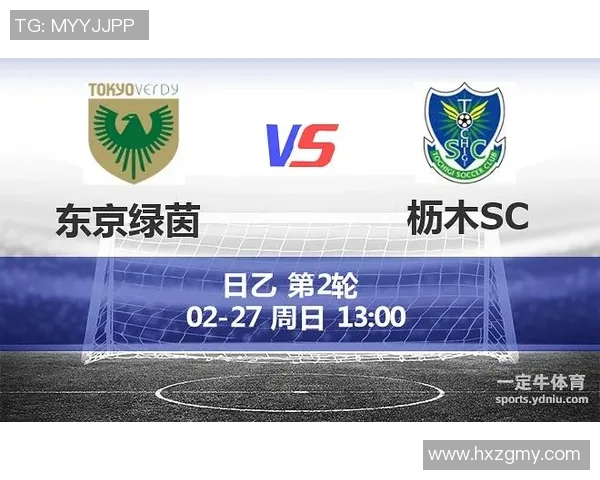 枥木SC对阵东京绿茵精彩直播全程回顾与赛后分析